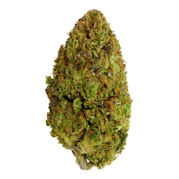 Afghan Skunk Cannabis Seeds - Image 2