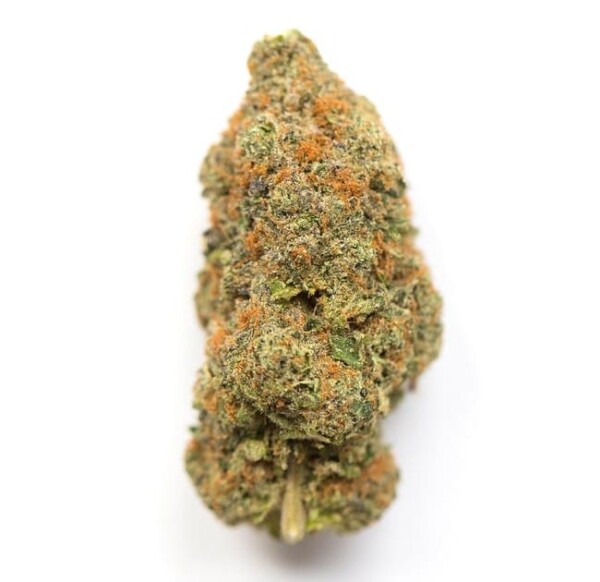 Afghan Big Bud Cannabis Seeds - Image 2