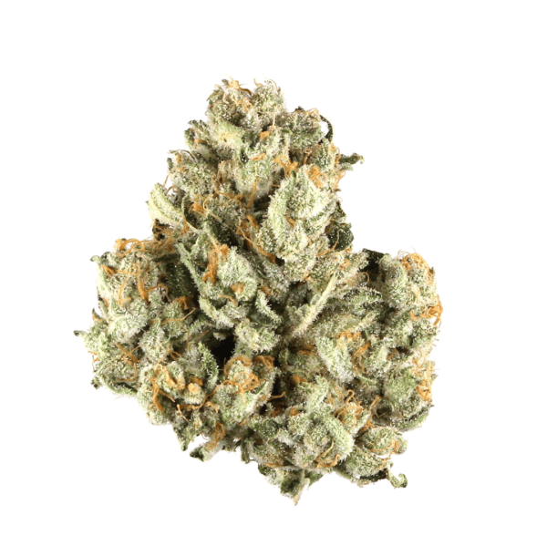 Afghan Kush Cannabis Seeds - Image 2