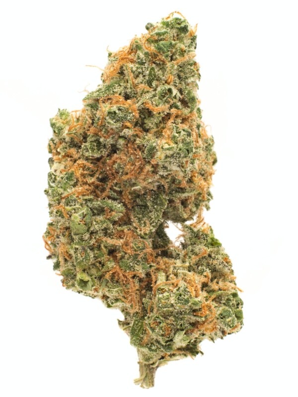 AK-47 Cannabis Seeds - Image 2