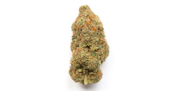 AK-48 Cannabis Seeds - Image 2