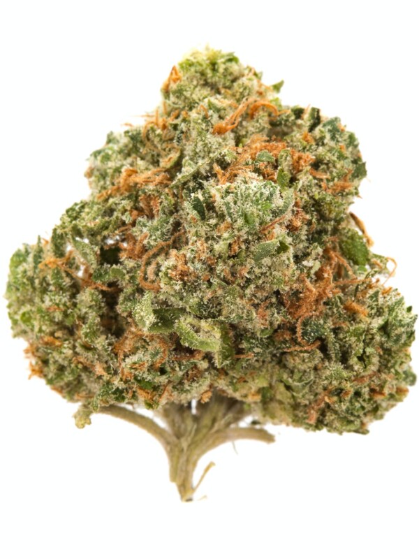 Alien Kush Cannabis Seeds - Image 2