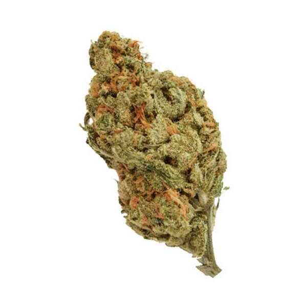 American Haze Cannabis Seeds - Image 2