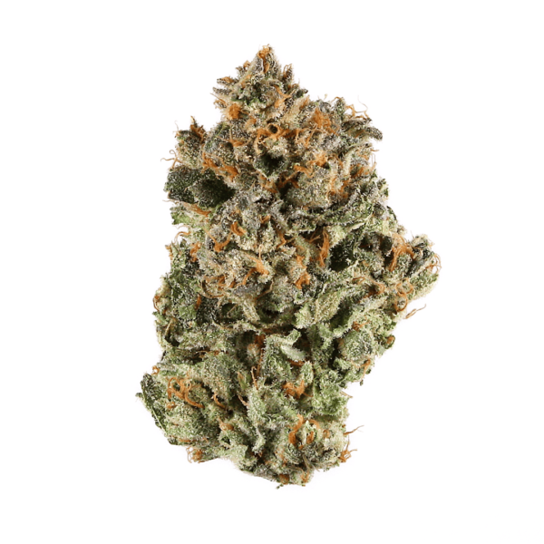 Blackberry Kush Cannabis Seeds - Image 2