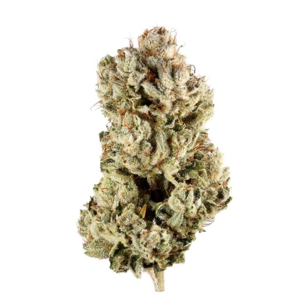 Gorilla Glue Cannabis Seeds - Image 2