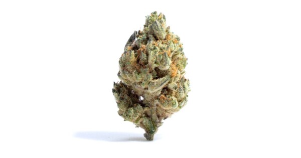 303 OG Cannabis Seeds - Image 2