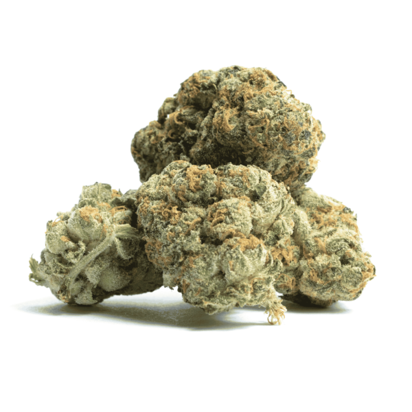 3 Kings Cannabis Seeds - Image 2